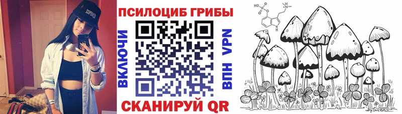 Псилоцибиновые грибы Cubensis закладки Мензелинск